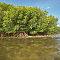 Wedon Island